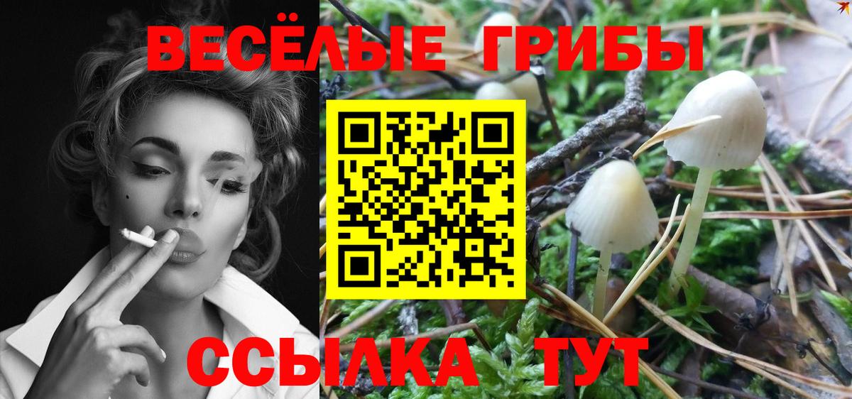 Псилоцибиновые грибы Cubensis  Вход с VPN  Саяногорск 